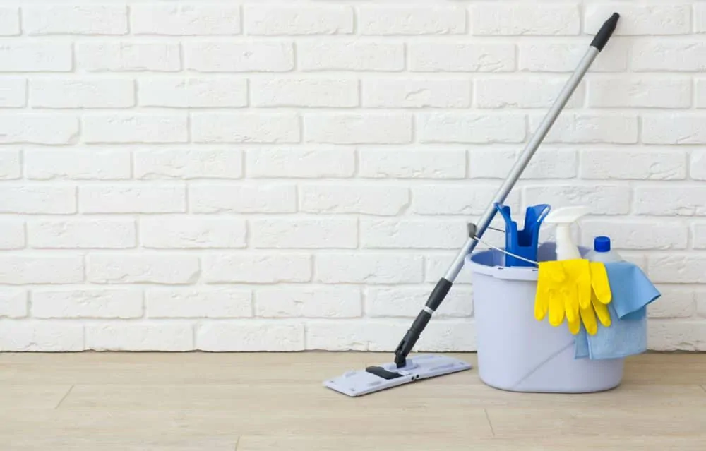 Professional Home Cleaning Services in Evans, Georgia