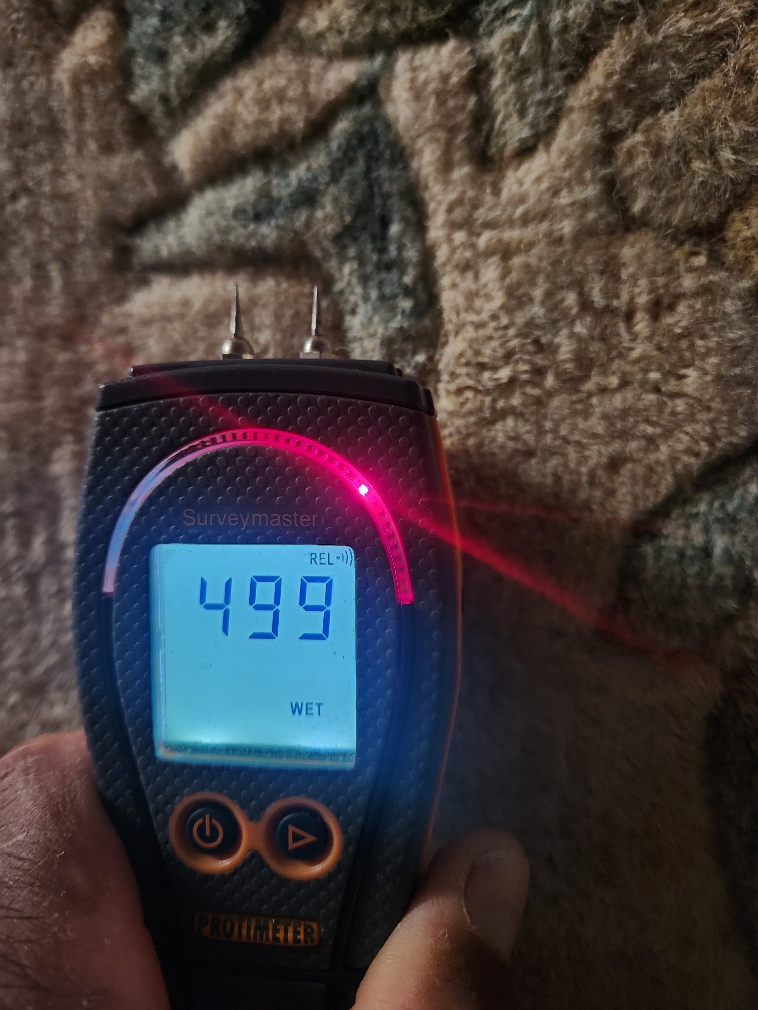 Moisture meter reading 499 WET in carpet