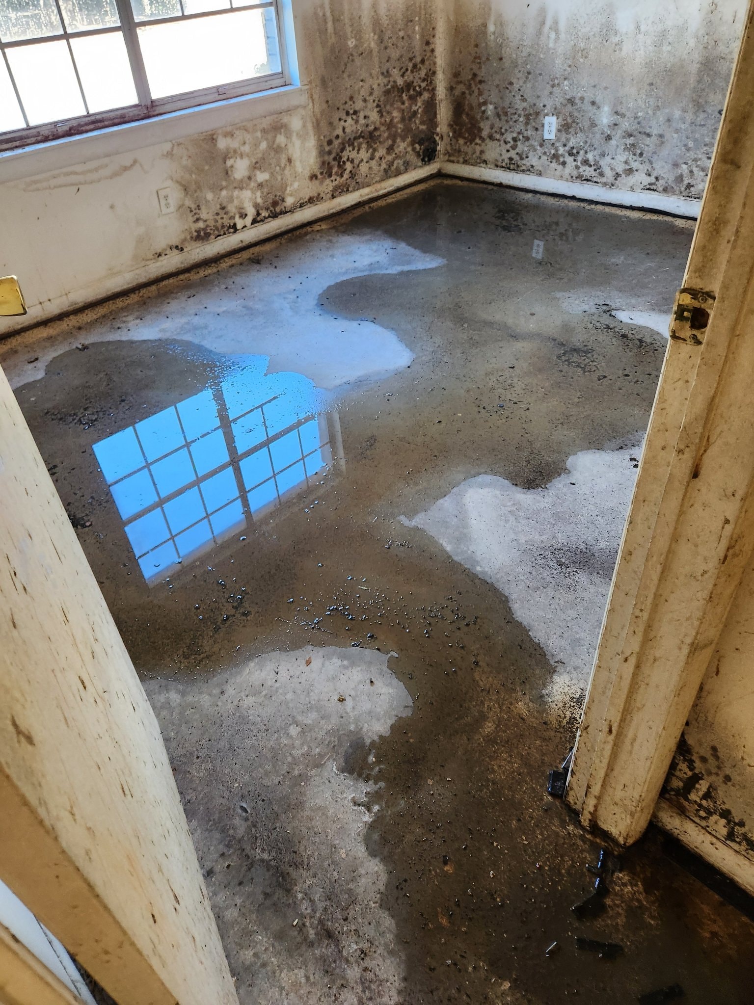 Room with standing water and mold before restoration