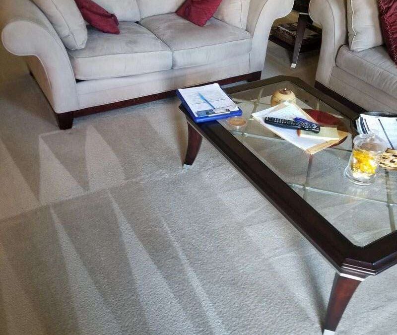 Spilled coffee or stained your carpet…here’s what to do!