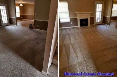 Is Booking Professional Carpet Cleaners Beneficial? 4 Reasons You May Be Surprised